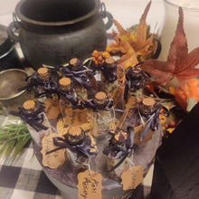 Load image into Gallery viewer, Handcrafted Spell Jar(s)!